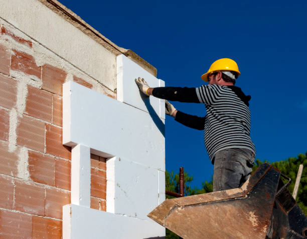 Best Insulation Replacement Services  in Allen, TX