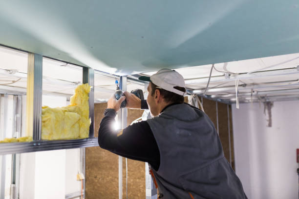 Best Soundproof Insulation Installation  in Allen, TX