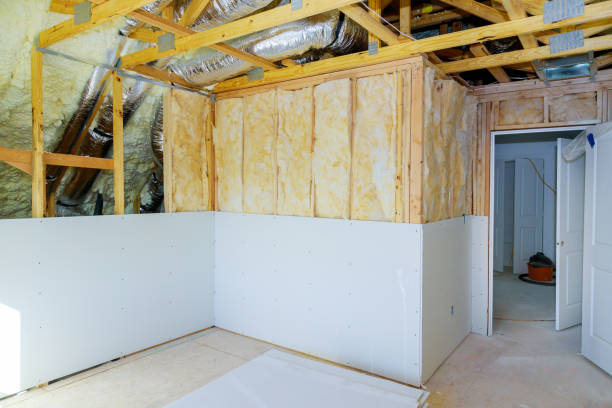 Best Local Insulation Services  in Allen, TX