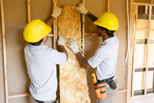 Best Professional Insulation Contractor  in Allen, TX