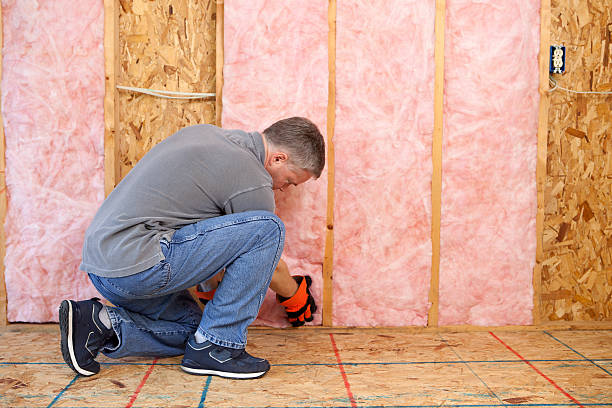 Best Insulation Removal  in Allen, TX