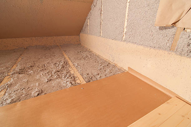 Best Residential Insulation Services  in Allen, TX